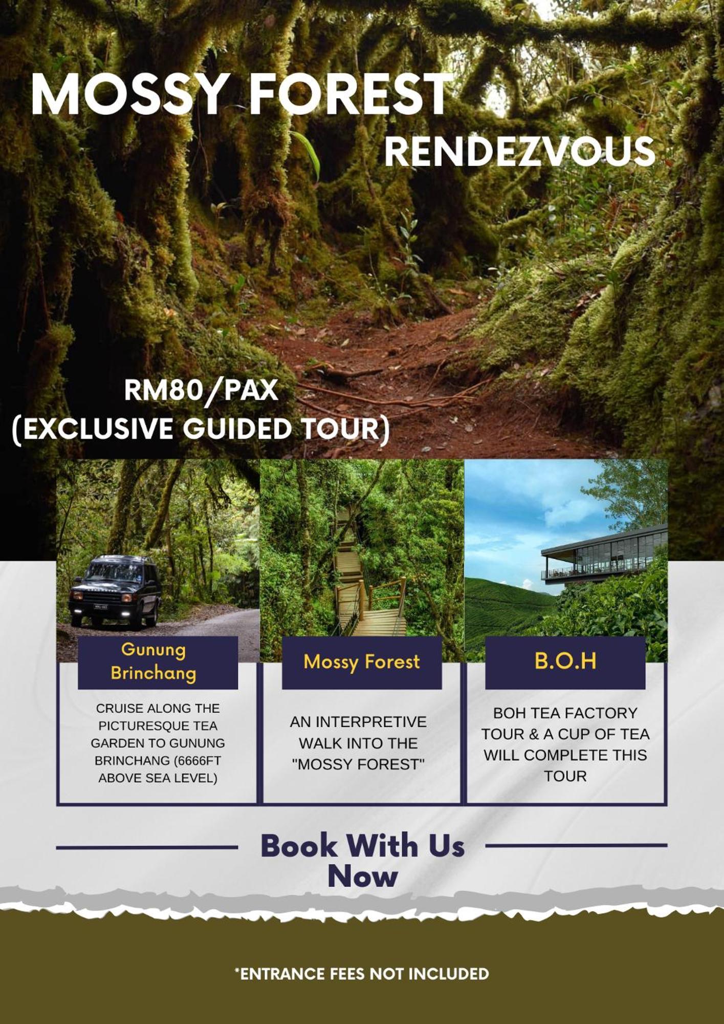 Rovers Inn Guesthouse - Age 11 And Above Only (Adults Only) Tanah Rata Dış mekan fotoğraf