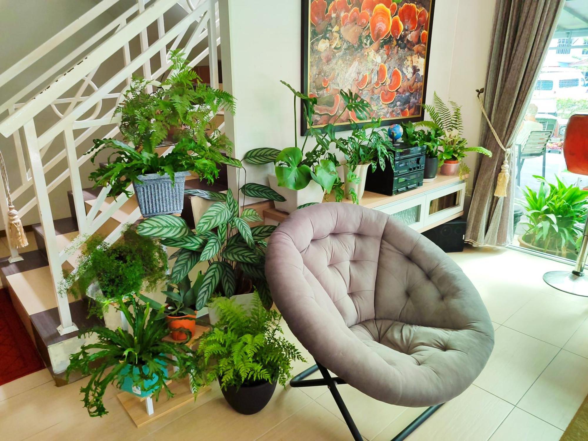 Rovers Inn Guesthouse - Age 11 And Above Only (Adults Only) Tanah Rata Dış mekan fotoğraf